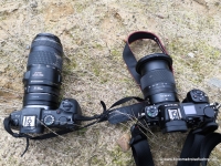 Nikon Z6 und EOS RP von Canon